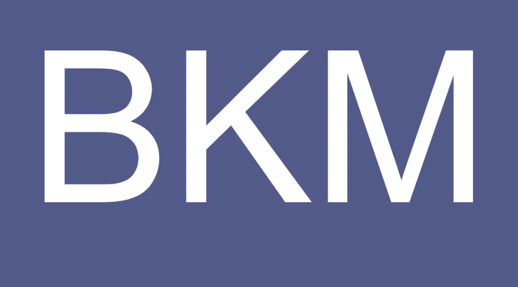PT_BRINGIN_KARYA_SEJAHTERA